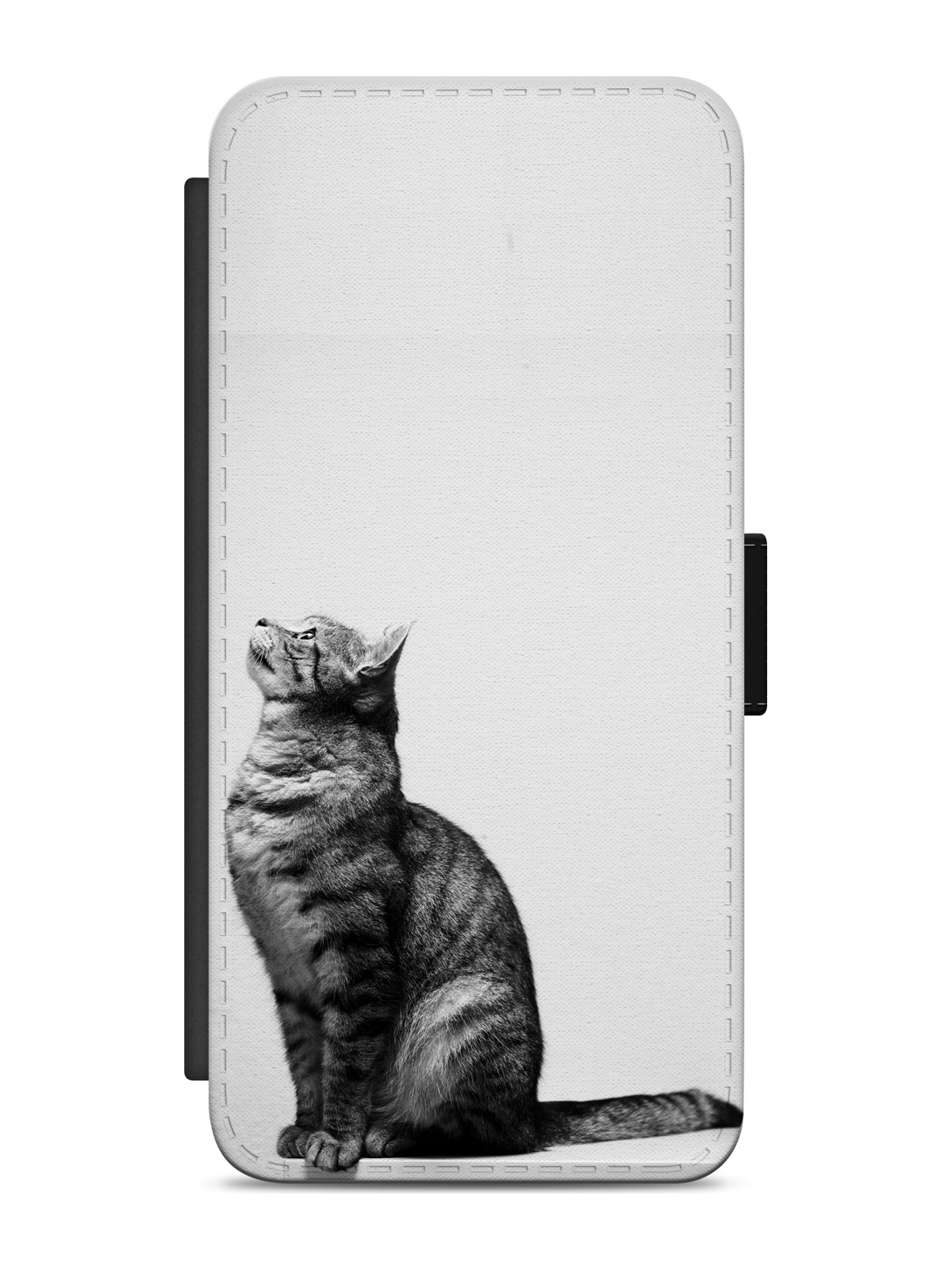 Monochrome Sitting Tabby