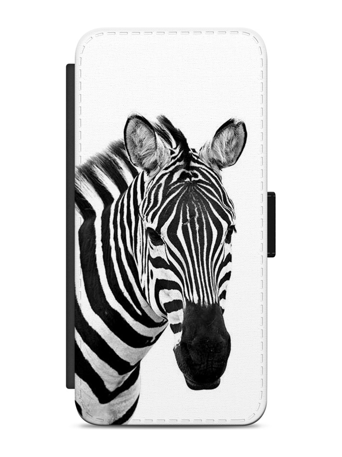 Zebra Portrait on White