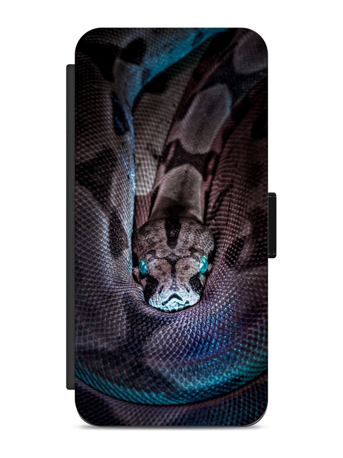 Coiled Snake in Shadow