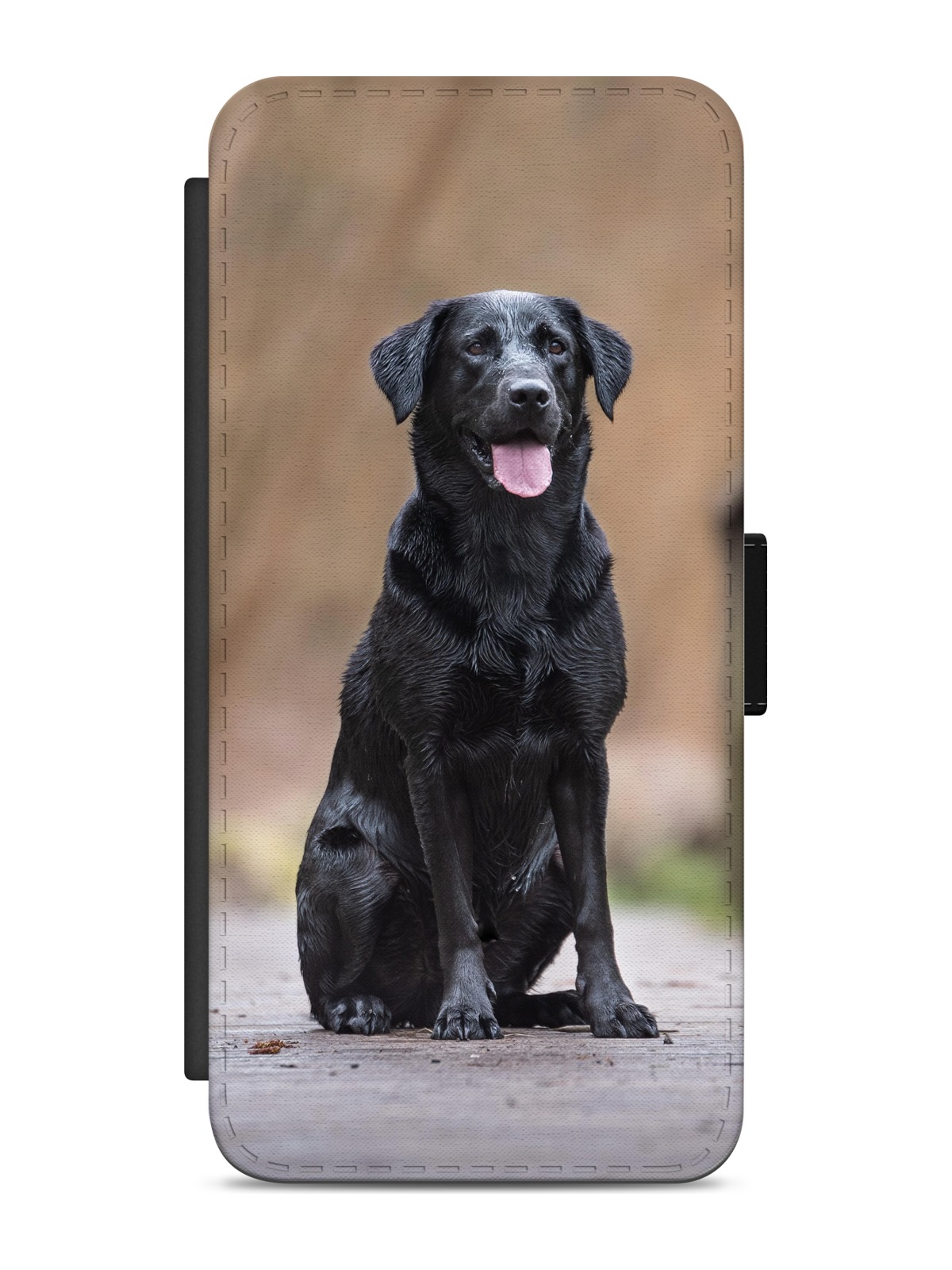Black Labrador Portrait