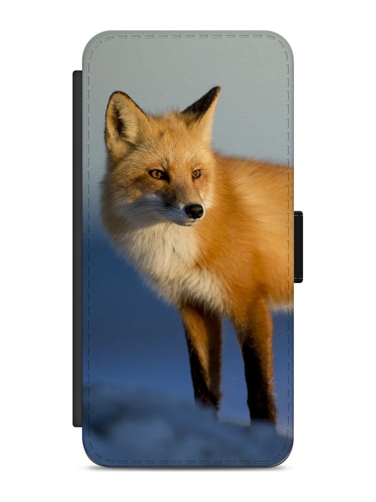 Red Fox in the Snow