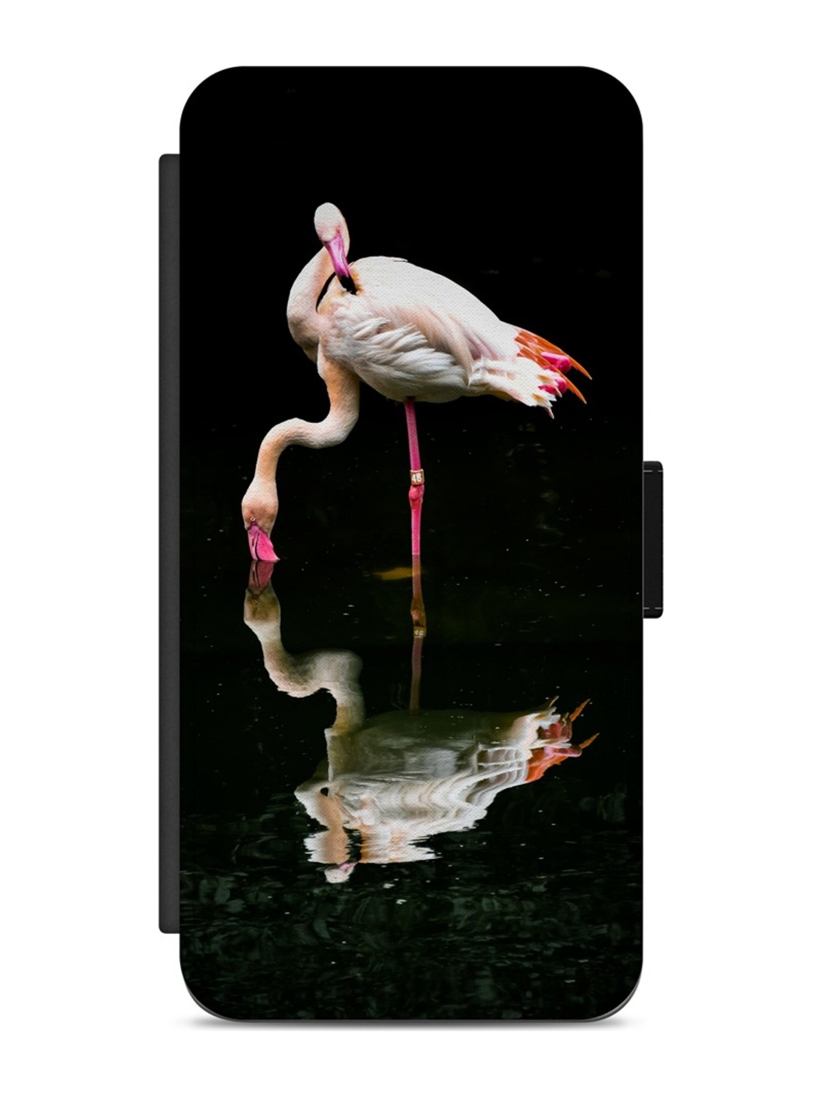 Flamingo Water Reflection