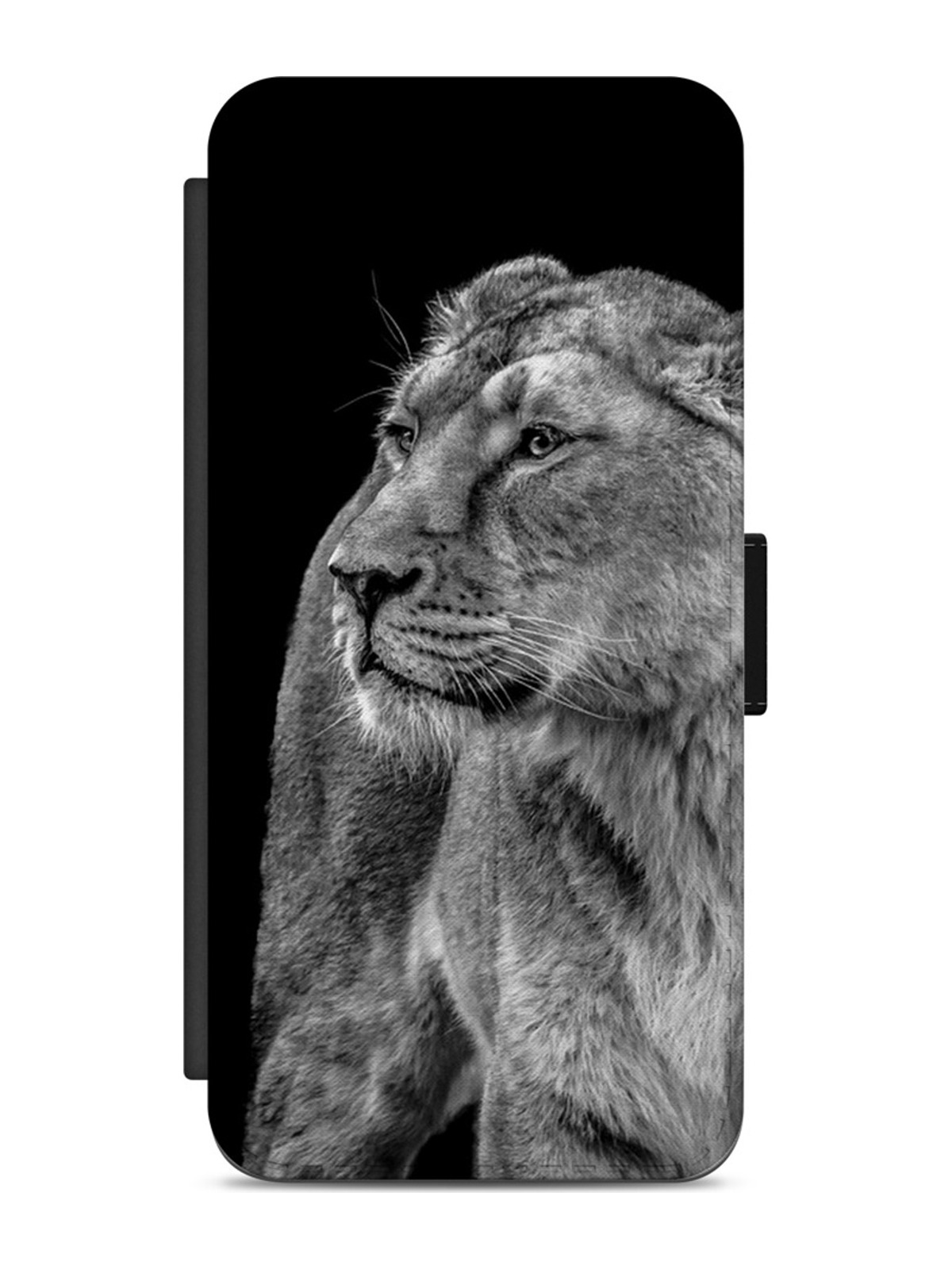 Monochrome Lioness Portrait