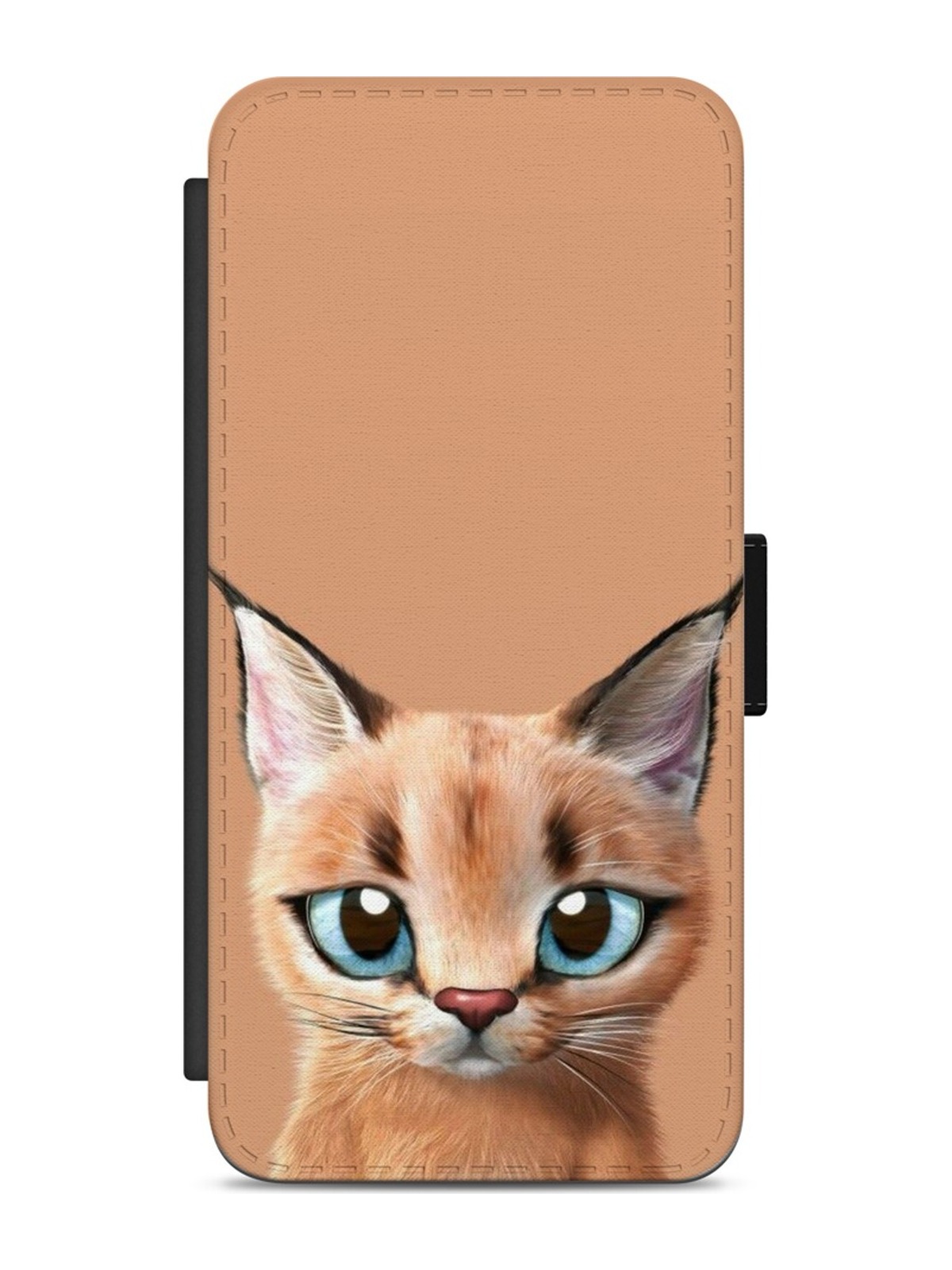 Big-Eyed Ginger Cat