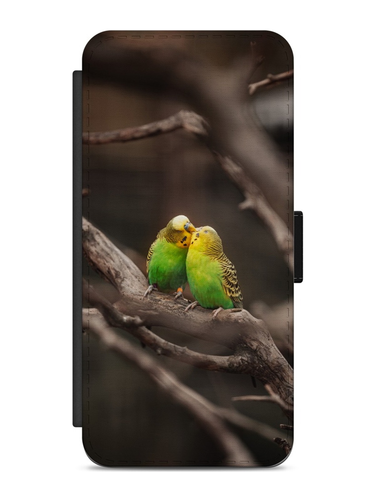 Lovebirds on a Branch