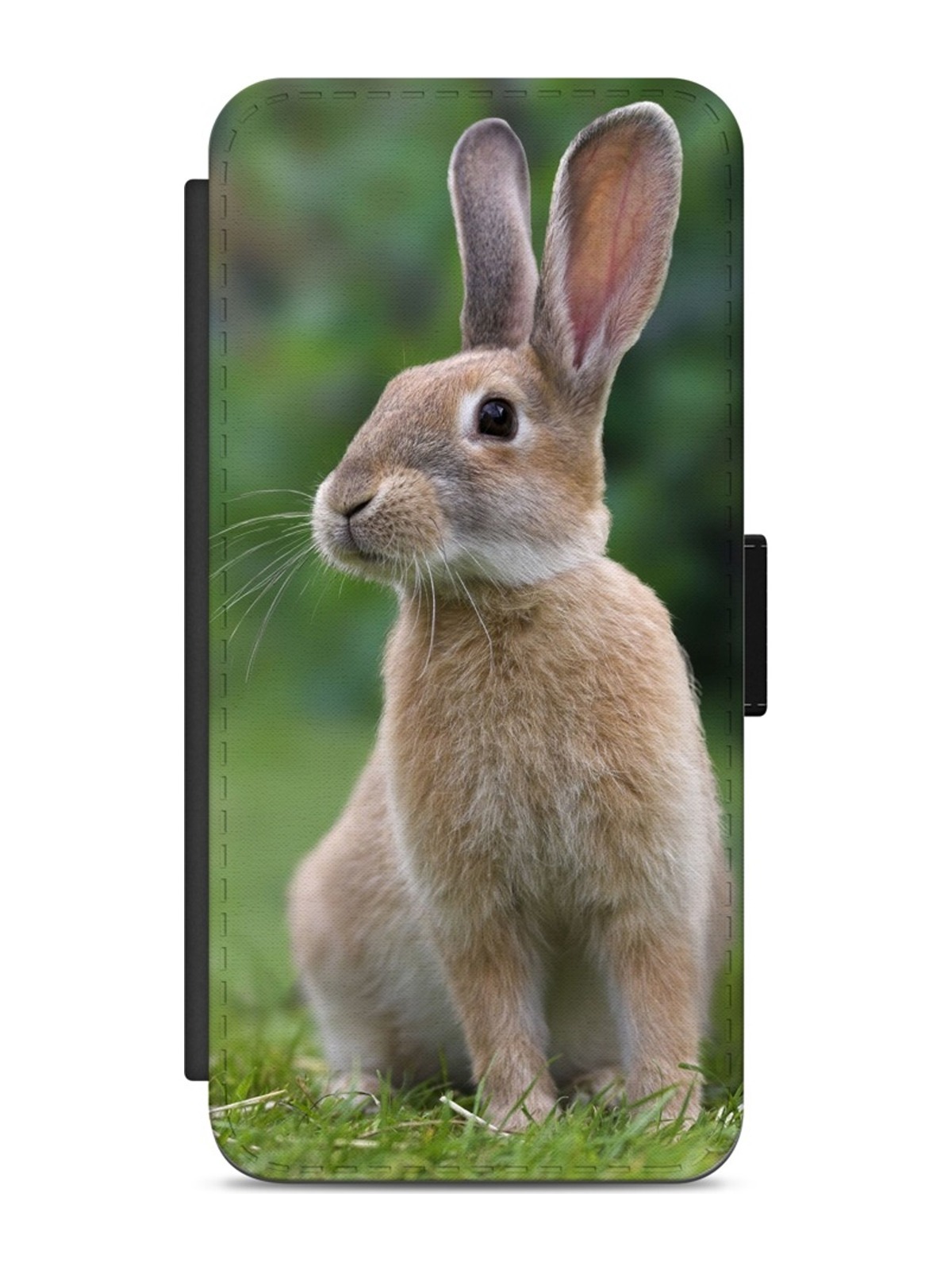 Woodland Rabbit Portrait