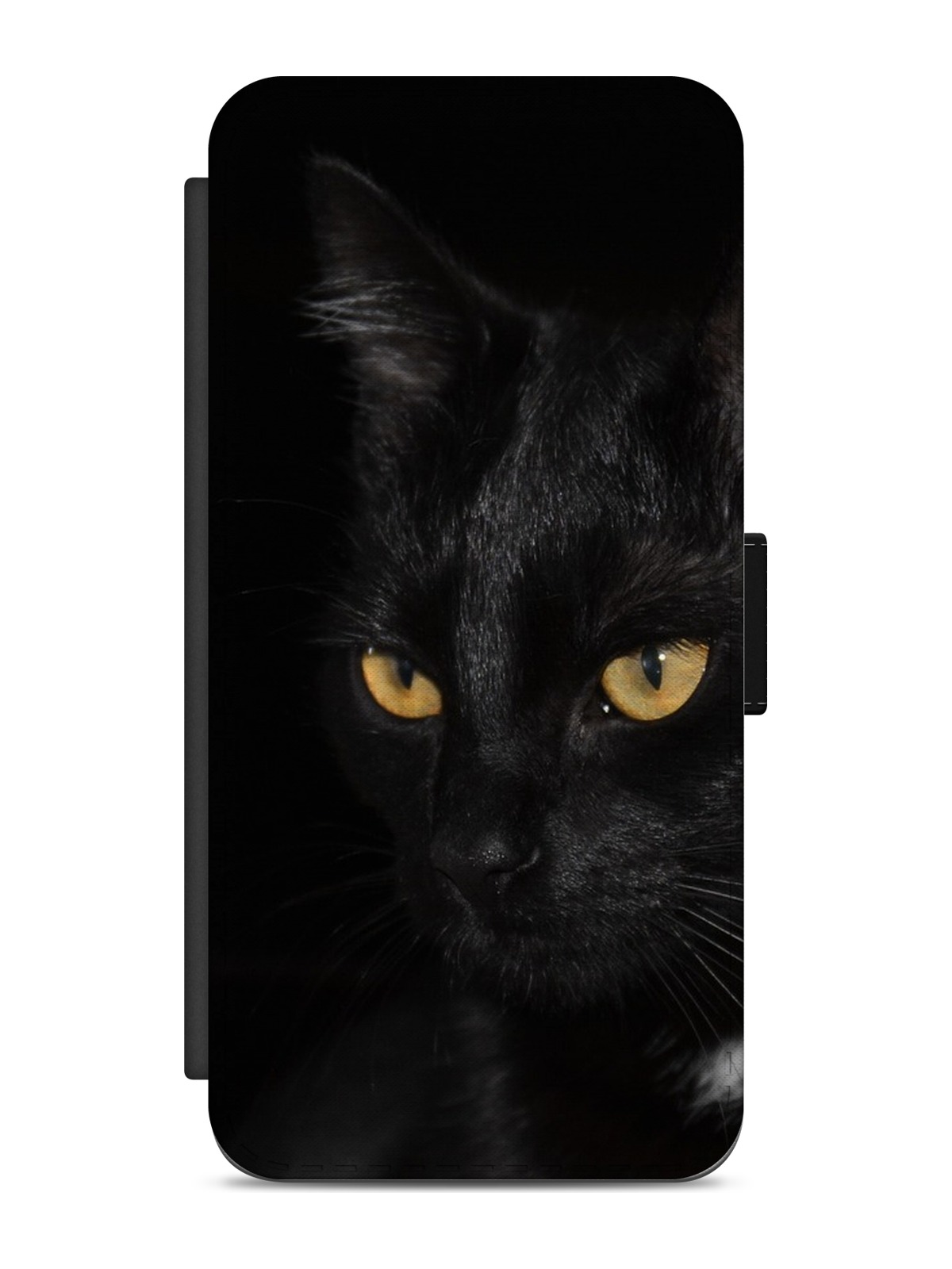 Hidden Black Cat Eyes