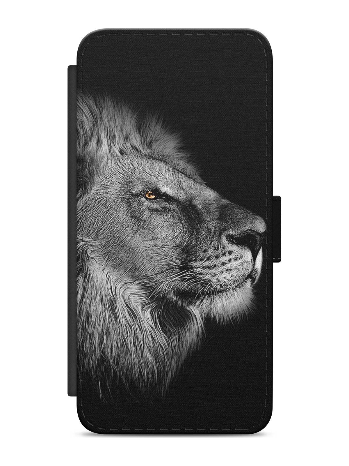 Monochrome Lion Portrait