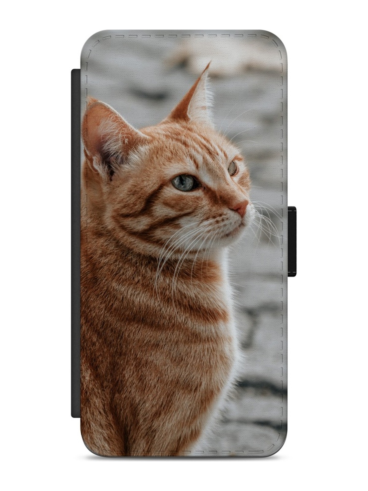 Ginger Cat Portrait