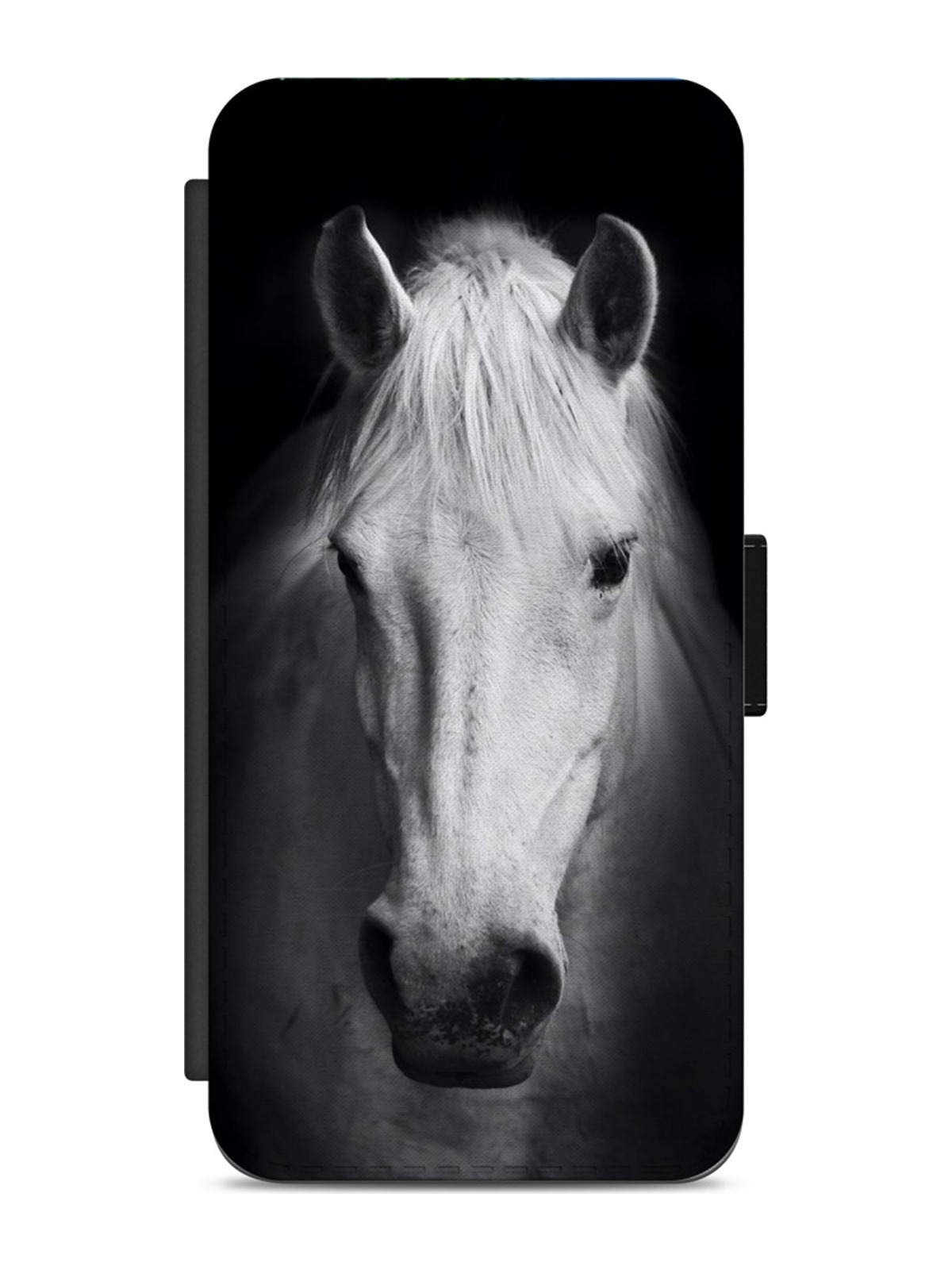 White Horse on Black