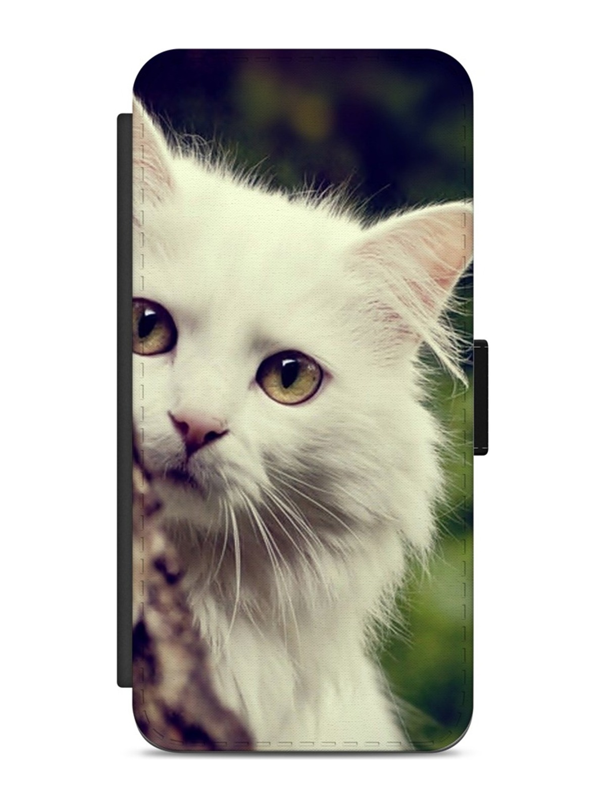 White Cat Close-Up