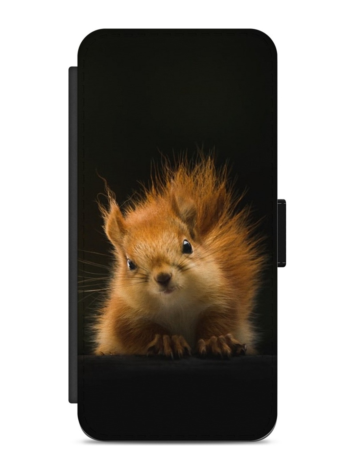 Little Red Squirrel
