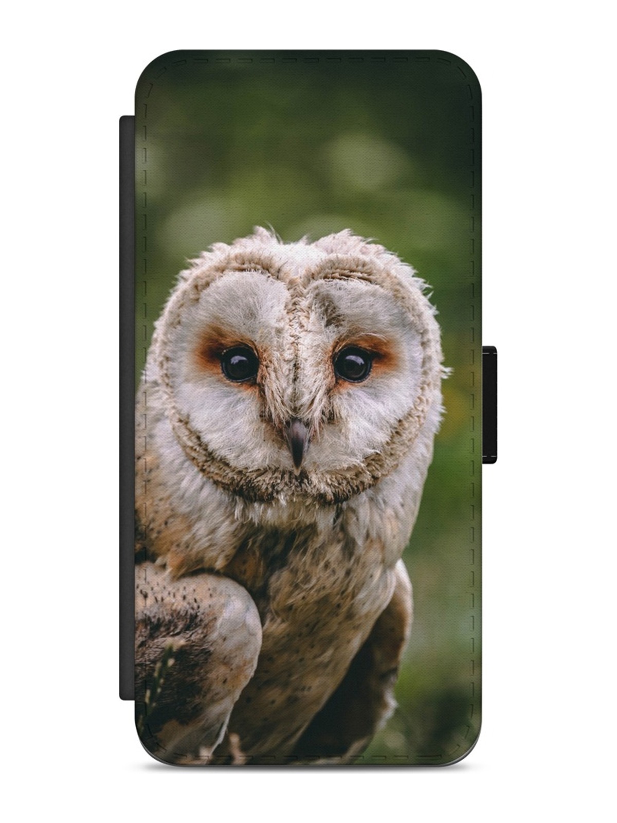 Woodland Owl Portrait