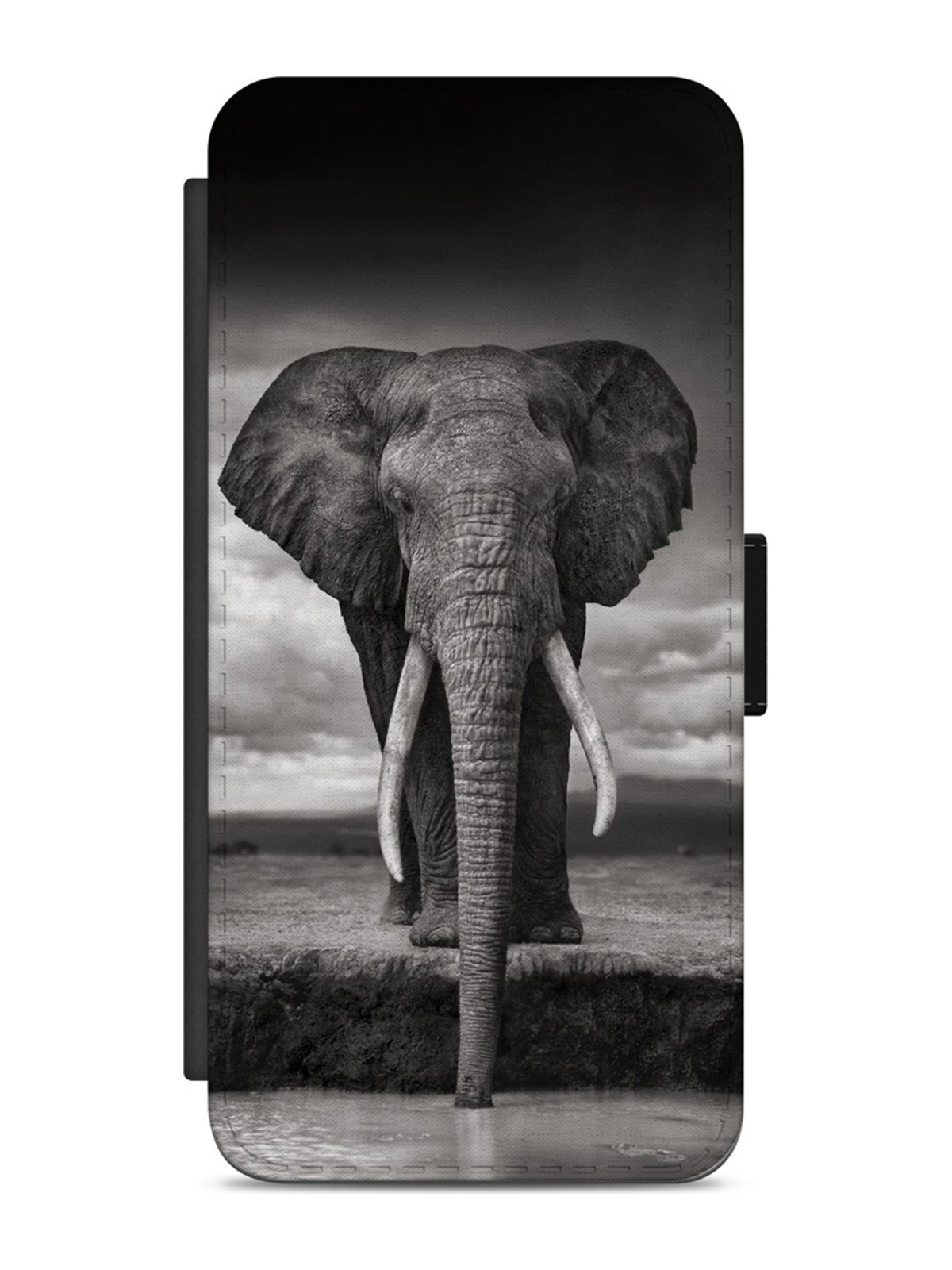 Monochrome Elephant Portrait
