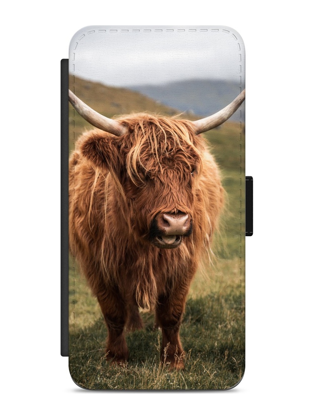 Highland Cow in the Meadow