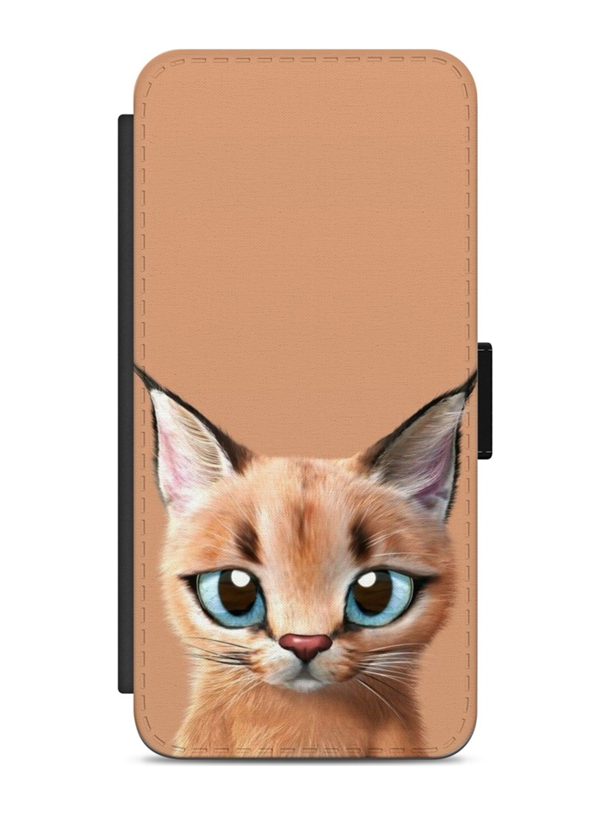 Grumpy Ginger Kitty