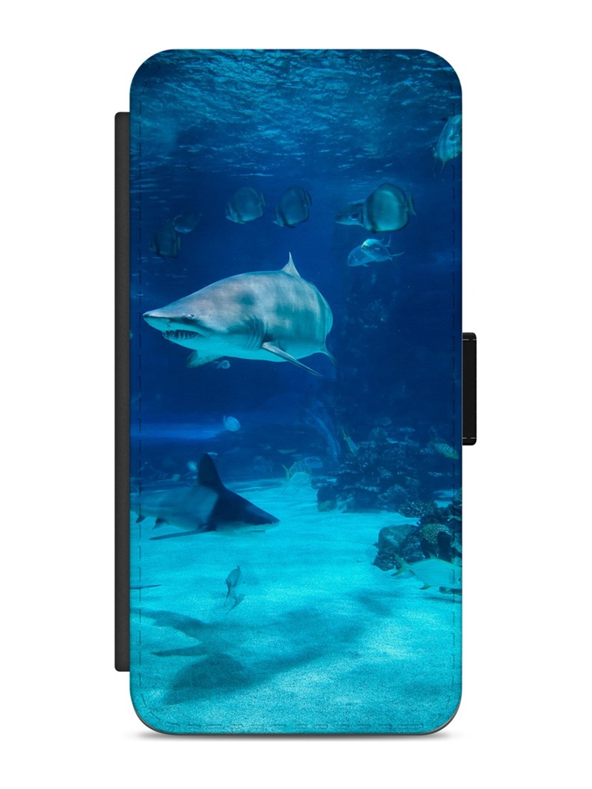 Shark Beneath the Waves