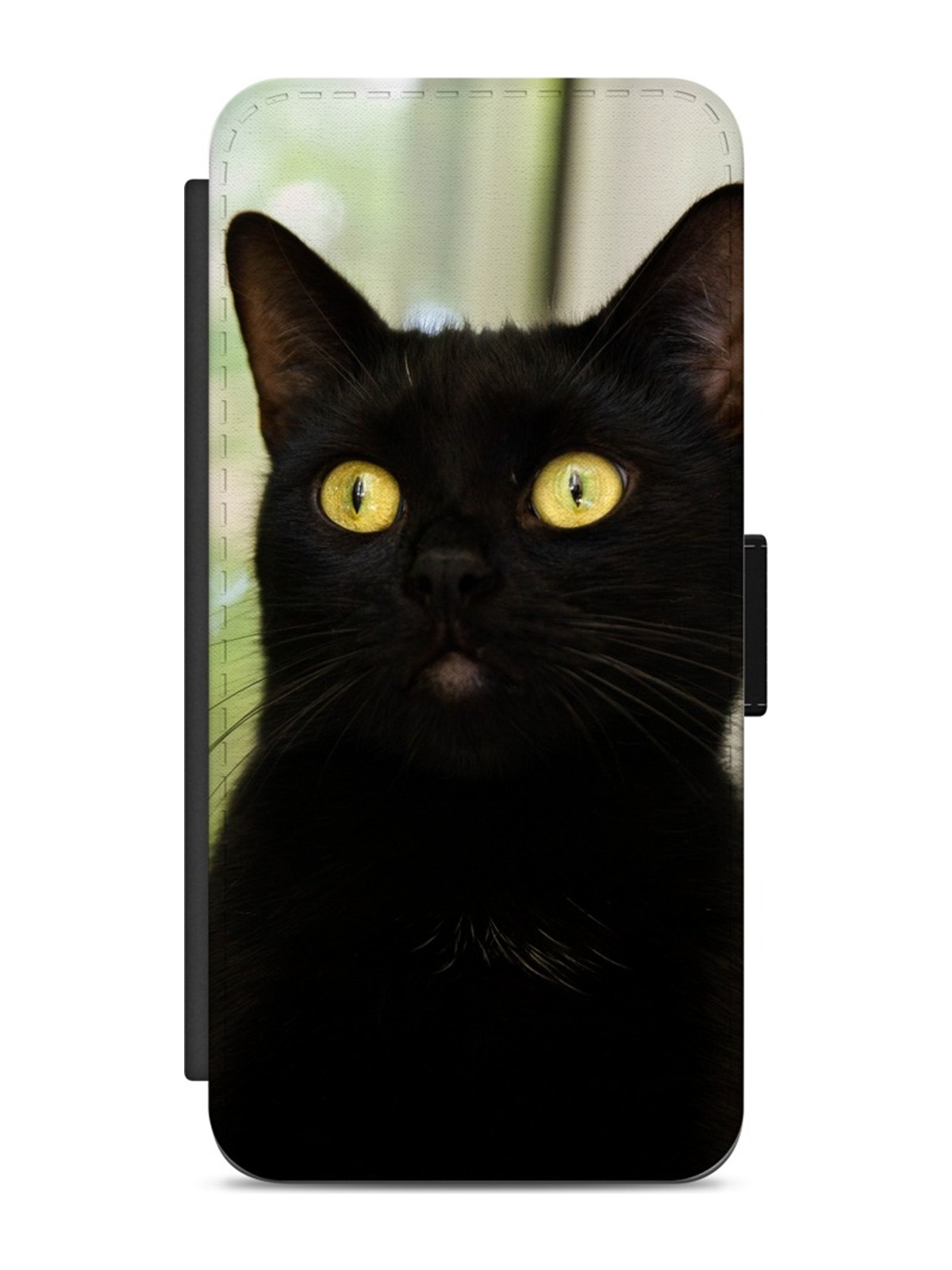 Golden-Eyed Black Cat