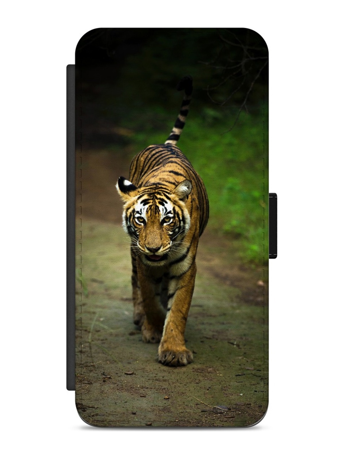 Bengal Tiger in the Wild